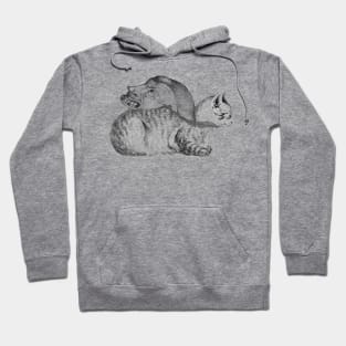 davil surreal cat Hoodie